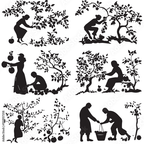 fruit picking silhouette