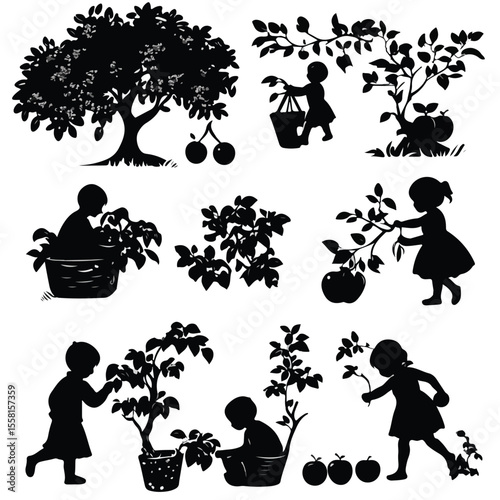 fruit picking silhouette