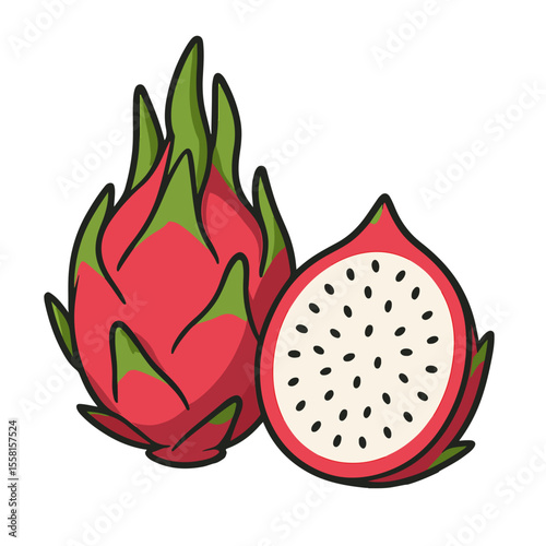 vector illustration of a dragon fruit