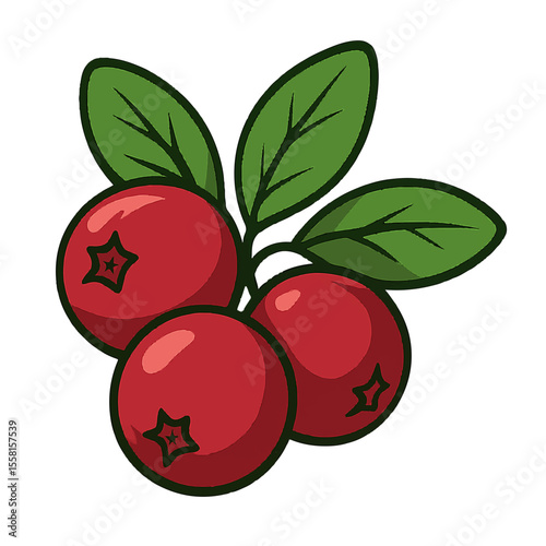vector illustration of crane berry