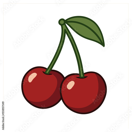 cherries vector illustration, cherry vector