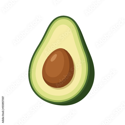 vector illustration of an avocado
