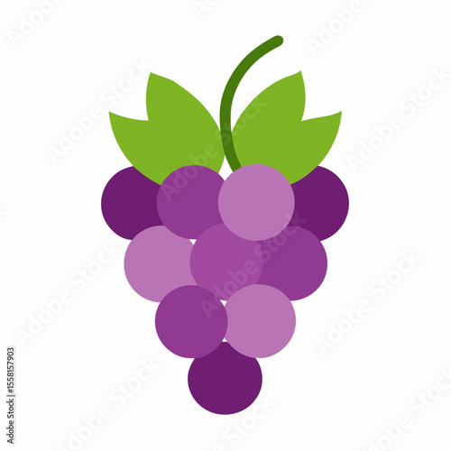 grapevine-icon