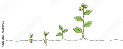 Continuous one line drawing of growing plant stages. Seeds sprouting in the ground. Garden plant seedlings, sprouts. Single line drawing vector graphic illustration Editable stroke