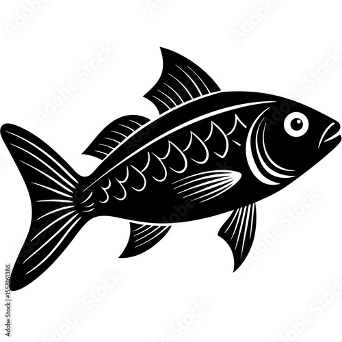 fish on a white background