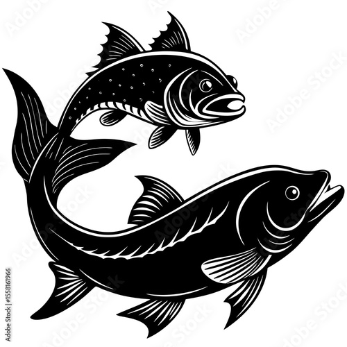 vector illustration of a fish