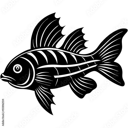 fish on a white background