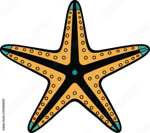 starfish with teal and orange colors isolated on white background