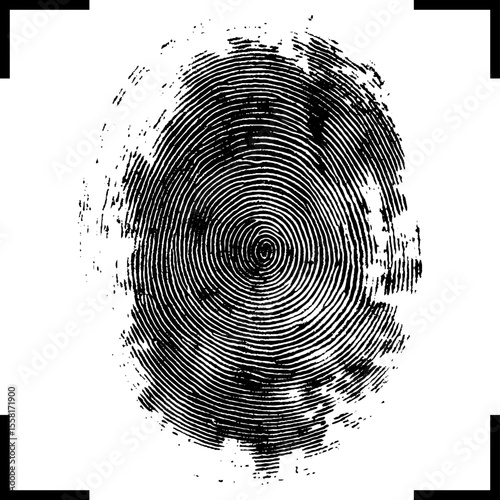 Single real fingerprint on white background 