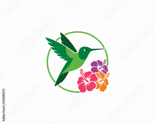 Hummingbird and Hibiscus Logo