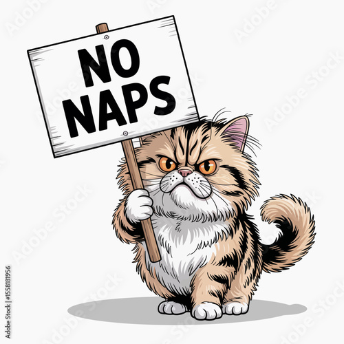 Grumpy Cat No Naps