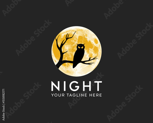 Night