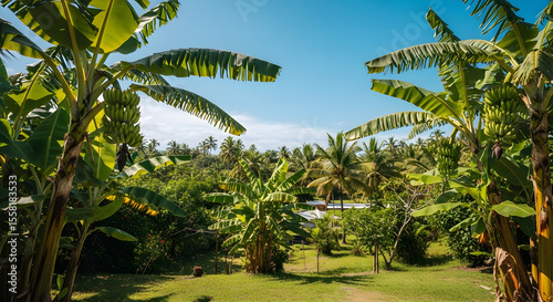 Scenic tropical landscape with banana and coconut palm trees under a clear blue sky.