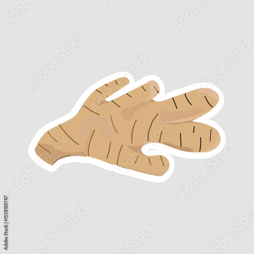 Ginger Root Vector Illustration Sticker. Simple vector illustration of ginger root sticker. Perfect for culinary, herbal medicine, organic food, and spice-related designs