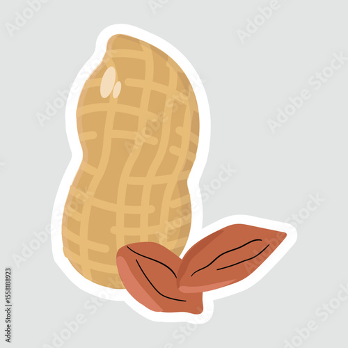 Peanut Vector Sticker Illustration. Simple peanut vector sticker with shell and seeds. Ideal for food packaging, healthy snack designs, and culinary illustrations