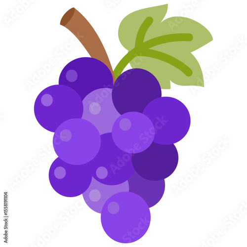 Illustration of purple grapes