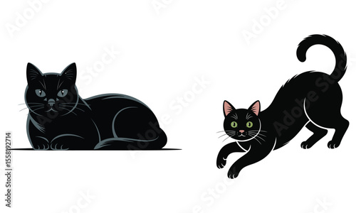 black and white cats