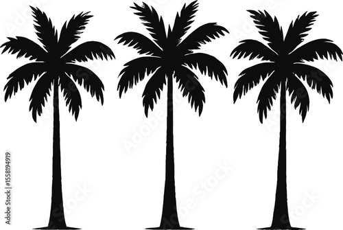 silhouette of three palm trees