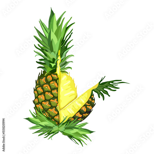 Pineapple Vector illustration. pineapple color slice. pineapple fruit icon design