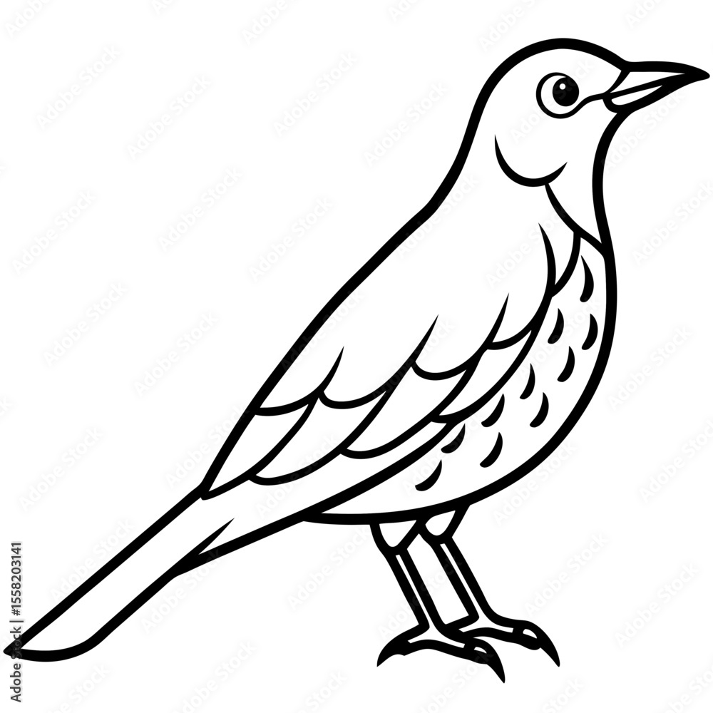 Fototapeta premium Minimalist Song Thrush Sketch