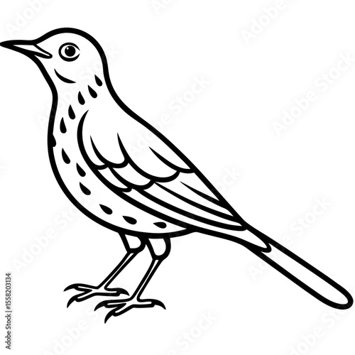 Minimalist Song Thrush Sketch