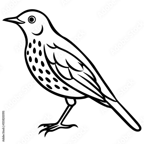 Minimalist Song Thrush Sketch