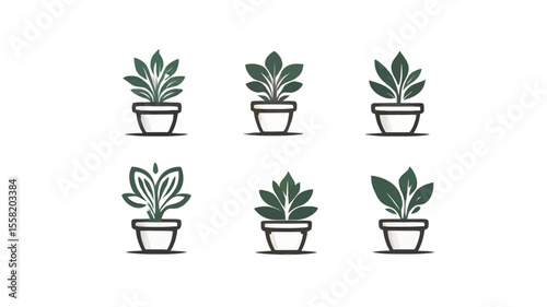 Isolated potted houseplants and garden flora showcase vibrant growth and natural home decoration