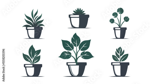 Potted plants set: diverse houseplants, flowers, and leafy herbs in various flowerpots, isolated for growth and decoration