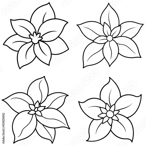 Simple Jasmine Flower Coloring Book Page – Elegant Fragrant Bloom Line Art Illustration