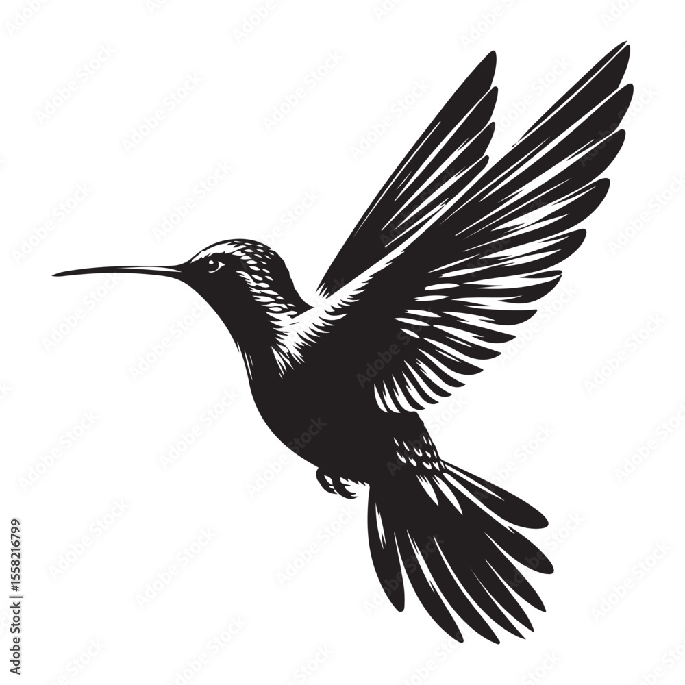 Fototapeta premium vector illustration of a bird