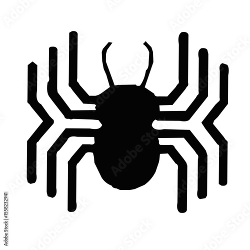black spider on white background