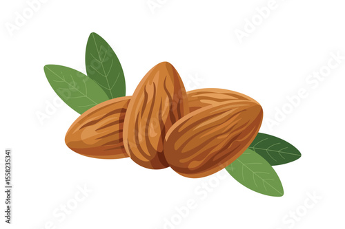 Vector illustration of almond nut in cartoon flat style. Delicious tasty almond snack, raw almonds in shell, crunchy almond nuts on white, labeling for healthy breakfast, meals, desserts. 
