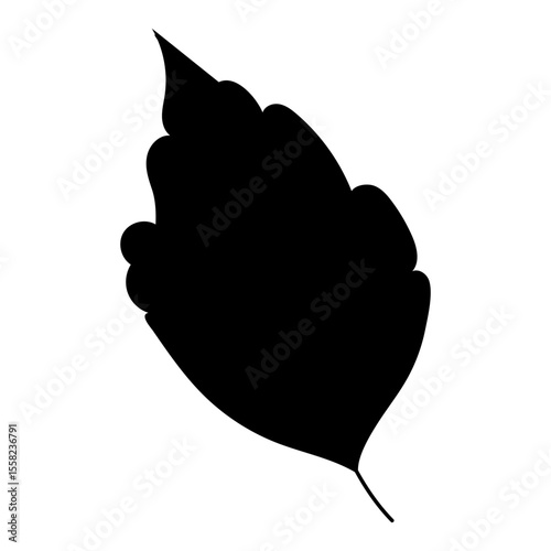 Silhouette of a single leaf on a white background. Black element. Vector.