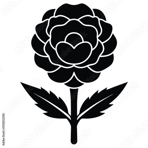 Carnation Icon Vector of Beautiful Flower Elements