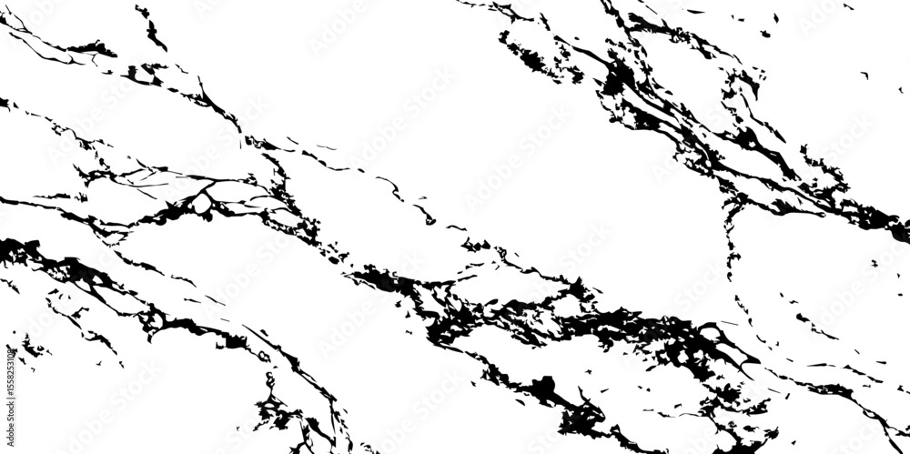 Obraz premium A high-contrast, black and white abstract pattern resembling intricate, organic veins or shattered glass against a pristine white background.