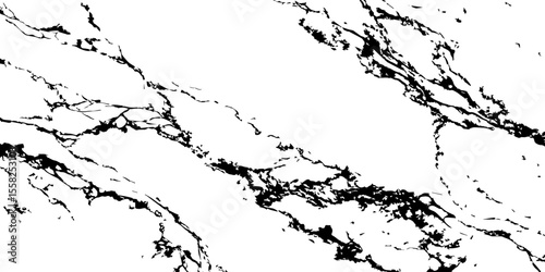 A high-contrast, black and white abstract pattern resembling intricate, organic veins or shattered glass against a pristine white background.