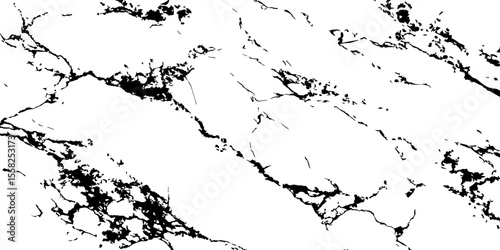 A high-contrast, black and white abstract pattern resembling intricate, organic veins or shattered glass against a pristine white background.