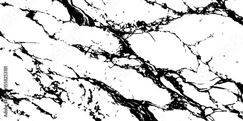 A high-contrast, black and white abstract pattern resembling intricate, organic veins or shattered glass against a pristine white background.
