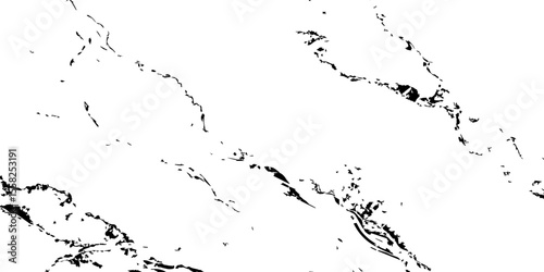 A high-contrast, black and white abstract pattern resembling intricate, organic veins or shattered glass against a pristine white background.