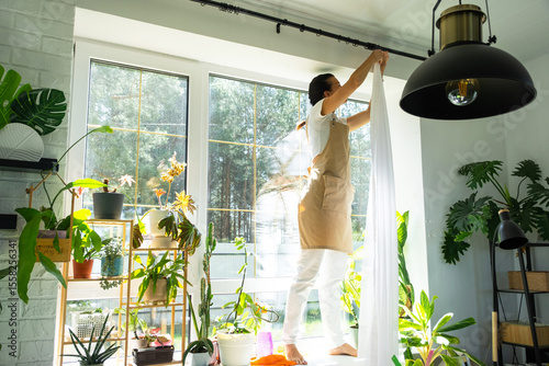 Woman in apron hangs transparent tulle curtains on large windows in the house inside the interior with potted plants. Spring cleaning, tidying up