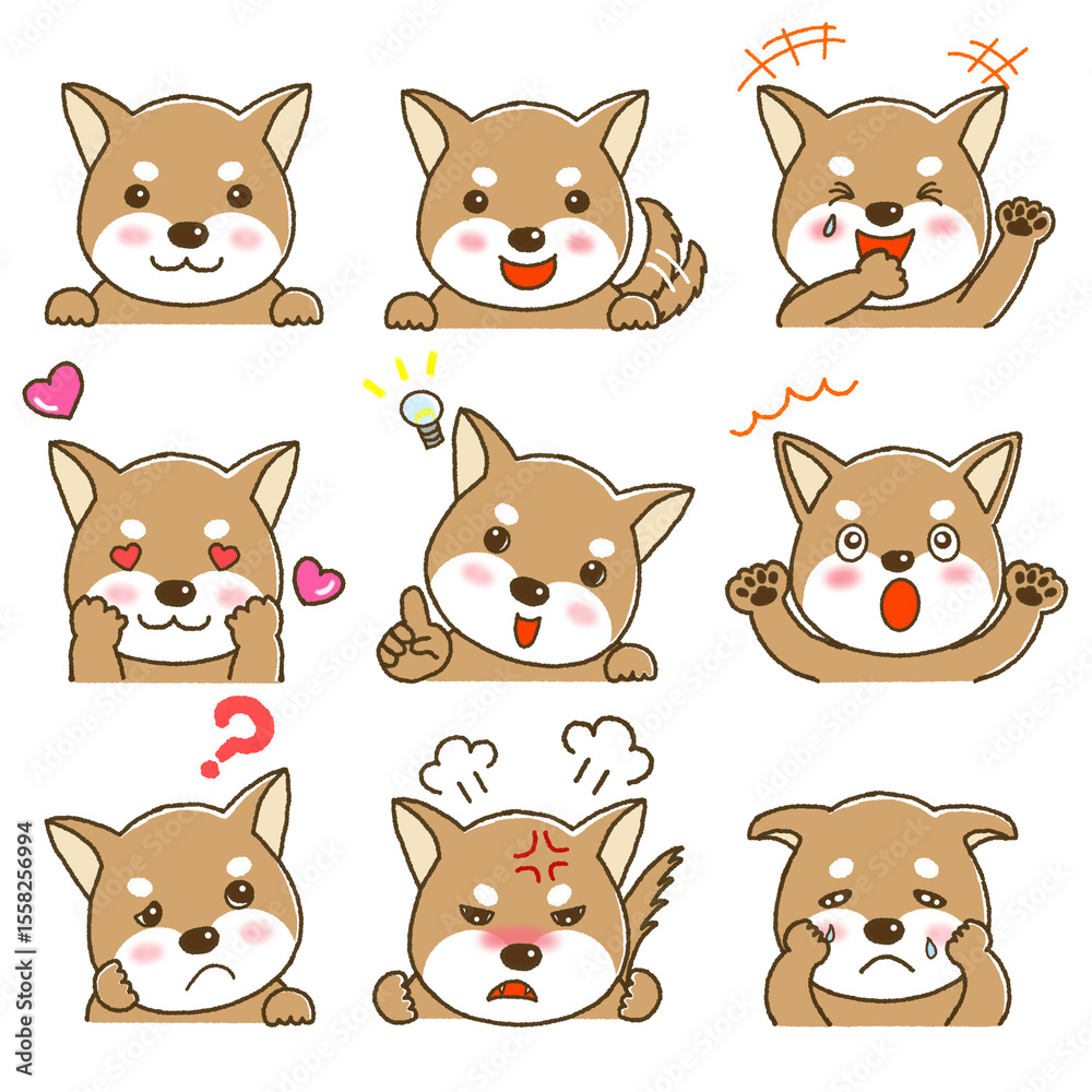 Fototapeta premium 柴犬のいろいろな表情のセット