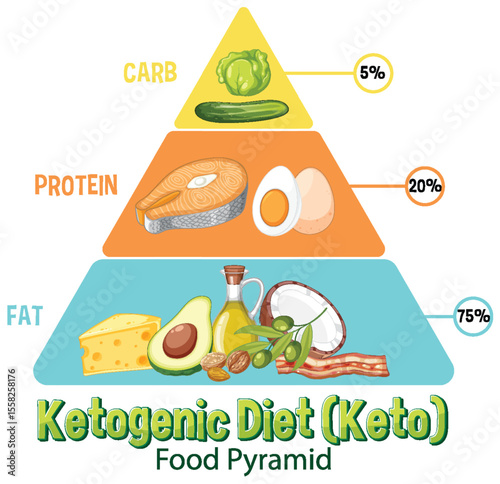 Ketogenic Diet Food Pyramid Illustration