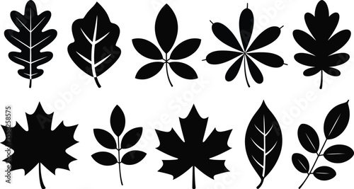 Collection of various black leaf silhouettes on a white background