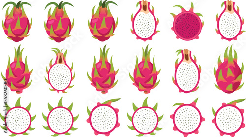 Illustration of dragon fruits in various forms against a white background