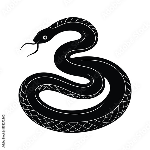 Snake coiled vector silhouette illustration