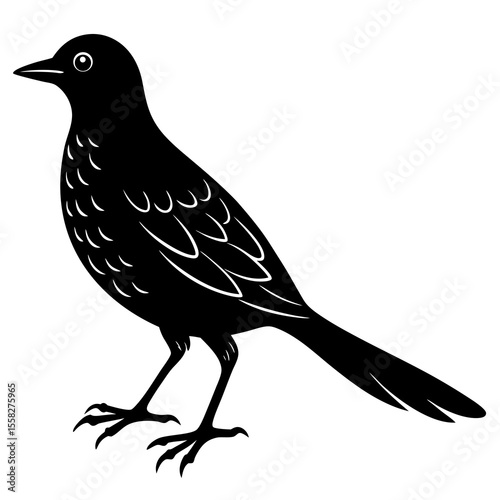 crow on a white background