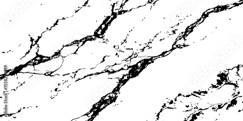 A high-contrast, black and white abstract pattern resembling intricate, organic veins or shattered glass against a pristine white background.