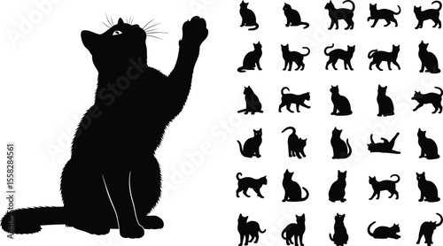 Silhouette of a cat reaching up with many other cat silhouettes