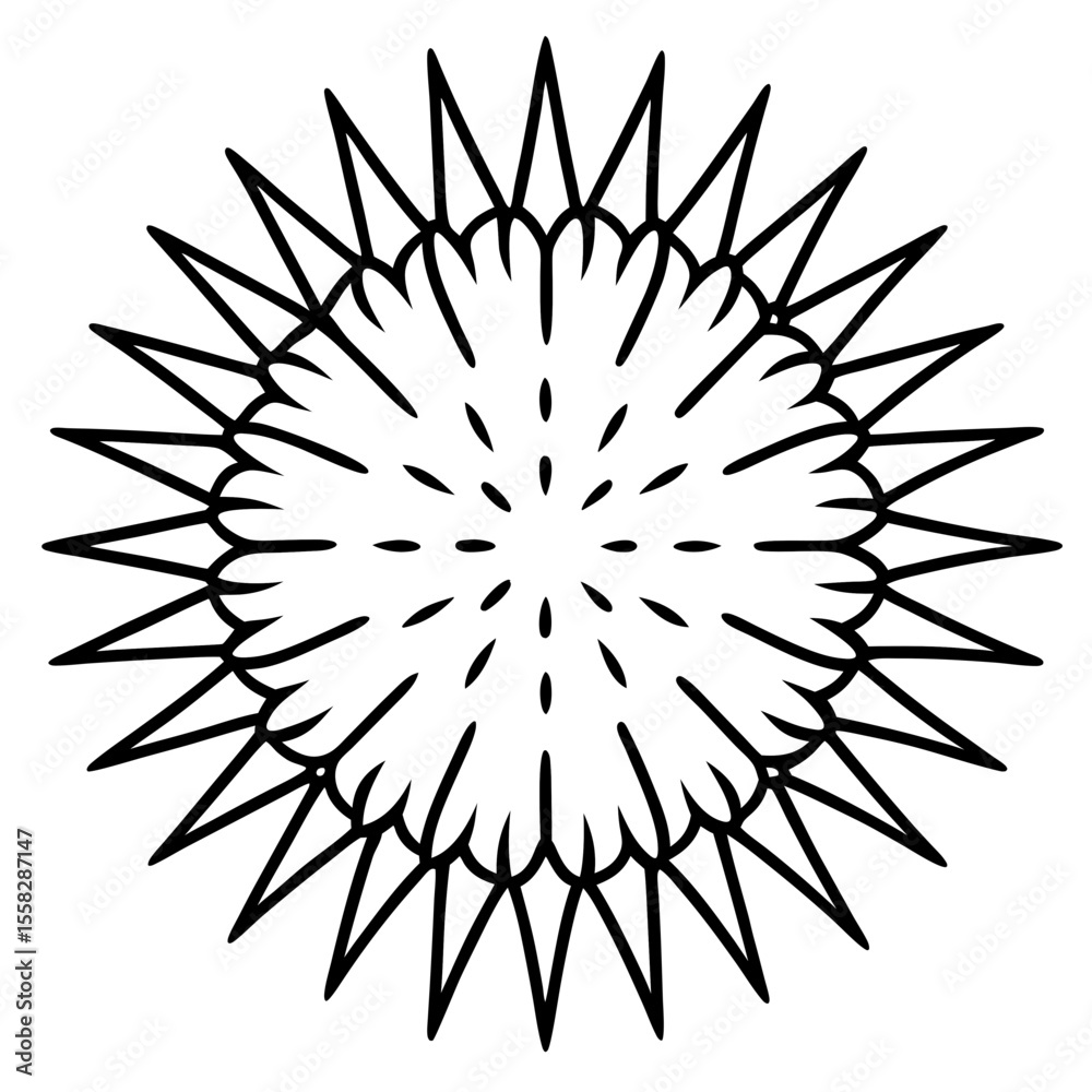 Fototapeta premium Sea Slug Ink Line Design