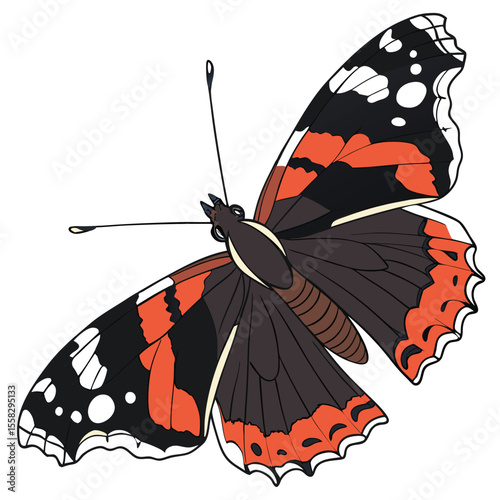 Beautiful detailed illustration of a Red Admiral butterfly with distinctive wing patterns
